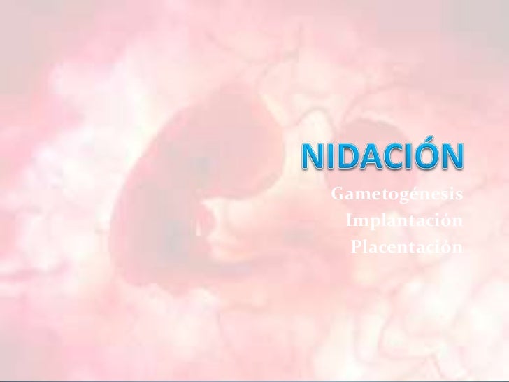 fecundacion nidacion placentacion